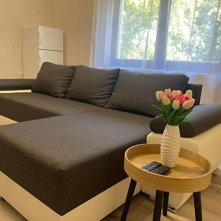 Tulipan Apartman Makó Exterior foto
